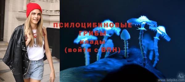 spice Михайловск