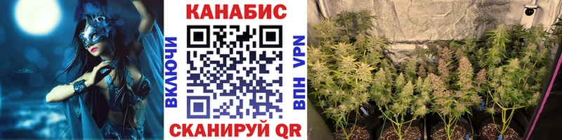МАРИХУАНА сатива  площадка клад  Туймазы 